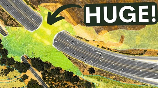 How the US is building the world’s largest wildlife bridge