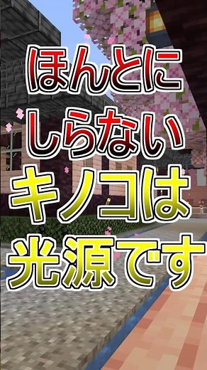 使い道ゼロ！茶色キノコの無駄知識