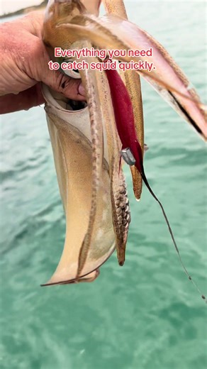 Essential Tips for Successful Squid Fishing
