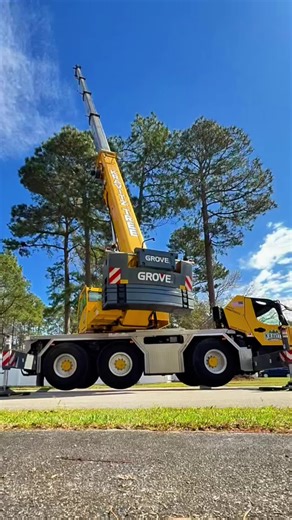 Expert Crane Work for Tree Removal