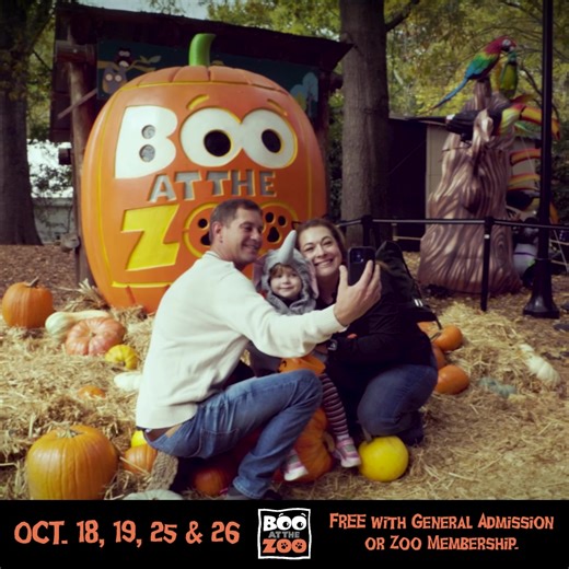 Grab your costumes, get ready to meet fun characters and explore themed activities, and buy your tickets today! Atlanta’s favorite fun family Halloween festival, Boo at the Zoo presented by Georgia Natural Gas, returns on October 18, 19, 25, and 26. | Zoo Atlanta