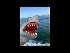 shark puppet screaming sound effect
