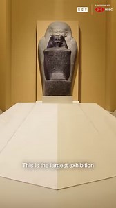 Shop smarter. Earn 2% cashback* on eligible tap and pay purchases under $100. And save with no fees* here or overseas. The fee-saving, visa-wielding, super secure HSBC Everyday Global Account is better in every way. | HSBC