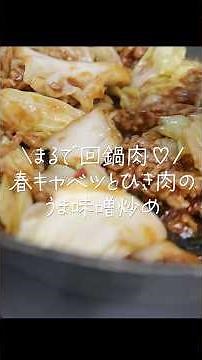 【簡単＆時短】さっと炒めるだけ！美味しすぎてごはんがたりないっ春キャベツとひき肉の回鍋肉風炒め #shorts #春キャベツ # #時短節約