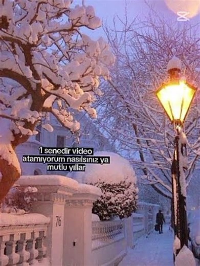 New year 🌲☃️❄️ #blackpink #keşfetedüş #kpopskz @YouTube #fypviralシ #kpop