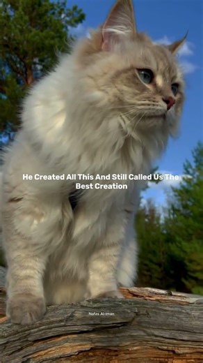 Chosen by Allah 🤍✨ #islamicmotivation #allah #human