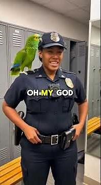 Best Parrot vs Police Officer Moments – The Ultimate Roast Compilation 🔥🦜👮‍♀️