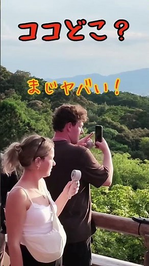 こんなにスゴイとは‼️景観に感動する外国人観光客‼️ #京都観光 #京都 #京都旅行