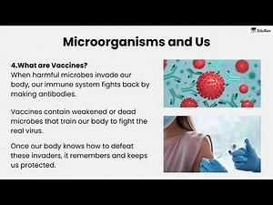 Quick Revision: Microorganisms : Friend or Foe Video Lecture | Science Class 8
