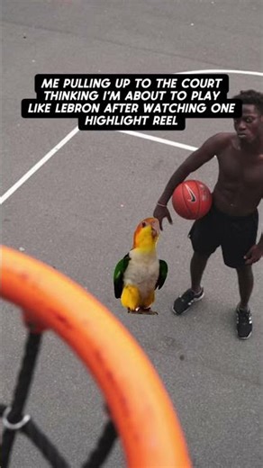 One highlight got me thinking I’m HIM 😭🏀 #DailySmilez #funny #relatable #meme #shorts