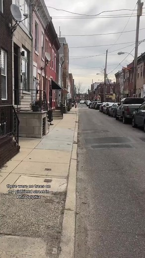 Getting a free tree in the neighborhood! (via Andrew the Arborist / TT) #treeservice #gardenlife #neighborhood | Neighborhood Farms USA