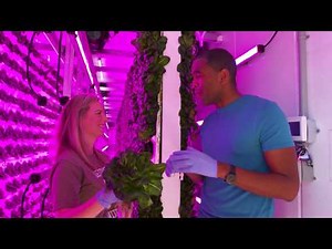 Stepping Inside a Shipping Container Farm | The Henry Ford's Innovation Nation