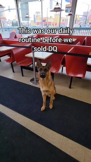 Perimeter training at its finest! | Mike W Lalicich