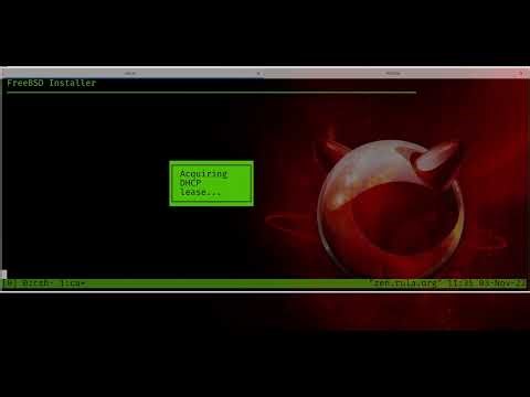 Debian on FreeBSD bhyve (setup walk-trough)
