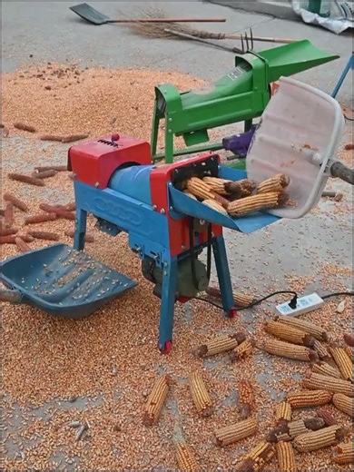 🌽 Fully Automatic Maize Thresher | High Speed, Clean Output, Low Energy