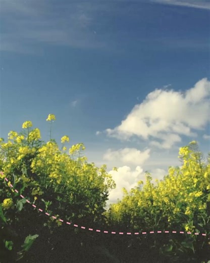 Workit Health on Reels