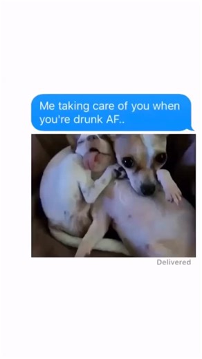 Memes for Women on Instagram: "@thebasicgaydrunk always the designated driver"