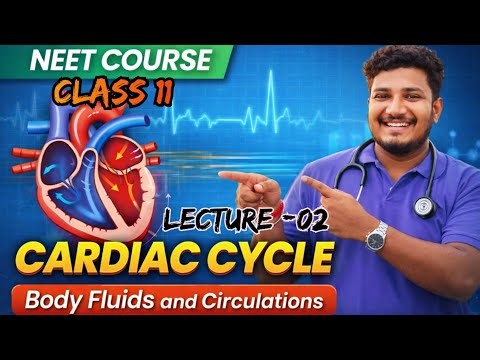 Cardiac cycle | class 11 zoology NEET course | Body fluids & Circulation | Human Heart 🫀 Lecture-02