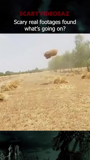 Exploring 5 Strange Phenomena Caught on Camera