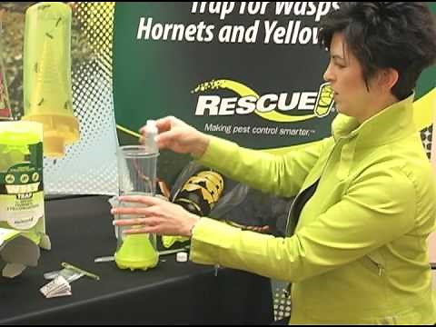 Setting up the WHY Trap