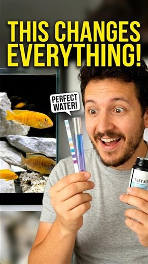 Why your water tests matter more than you think #aquarium #tips