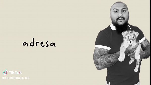 Pune-i Stop la Idei: Versuri și Reflecții