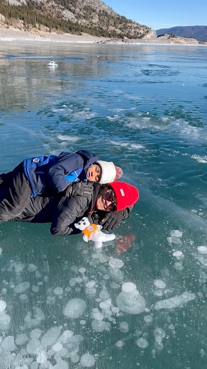 Abraham Lake, located along the scenic David Thompson Highway in Alberta, Canada becomes a magical winter destination when the lake freezes and thousands of frozen methane bubbles appear beneath the crystal-clear ice. These naturally occurring bubbles rise from plant material at the bottom of the lake and become trapped as the water freezes, creating stunning layered patterns that look like stacks of glowing white discs. #AbrahamLake #MethaneBubbles #FrozenBubbles #WinterWonderland #ExploreAlber