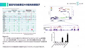 易基因 -【第17期】染色质免疫共沉淀（ChIP-seq）应用实例分析（表观调控