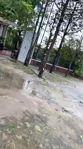 9.1M views · 326K reactions | Tụi mình livestream để người dân đang đợi ở đường quốc lộ 1A theo dõi biết tụi mình đang đi đến đâu nha | Thủy Tiên | Facebook