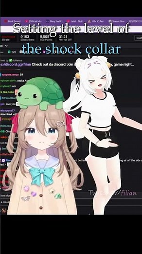 Setting the shock collars level