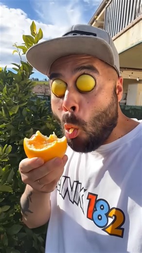 Want to try my oranges? 🍊✨