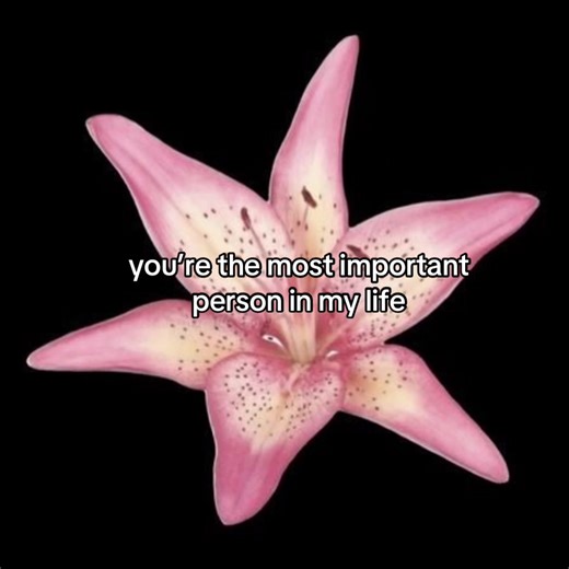 you’re the most important person in my life #poetry #flower #flowers #hope #soulmate