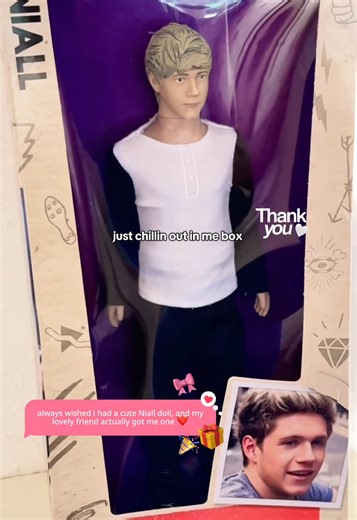 Cute Niall Doll Gift Appreciation