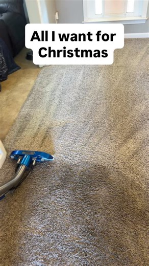 20 reactions | ✨ All I want for Christmas… is YOU to book, book, boooook! ✨ We’re sliding into the Christmas season and the schedule is filling FAST. If you want those carpets fresh, floors sparkling, or the whole house holiday-ready — now’s the time to lock in your spot!  Text 334-560-2881 to book before the Christmas rush hits! Let’s get your home looking merry & bright ✨ | Jet Stream Clean | Facebook