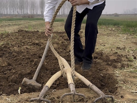 经过我多年的实践与论证，发明出了三胞胎翻地神器，干活效率直接提升三倍，这样一个人就可以干三个人的活了#抽象行为艺术 #我太想进步了#田园艺术家