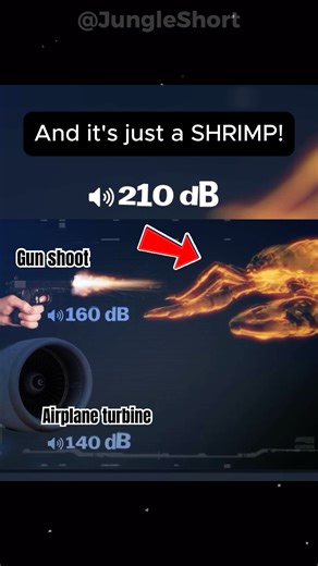 🦐The Loudest Animal on Earth Is THIS Small 😱