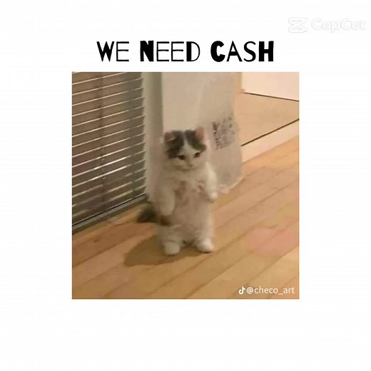 #CapCut #funny #cat #spiderman #spidercat