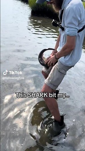 Why You Should Never Catch a Baby Shark‼️😱