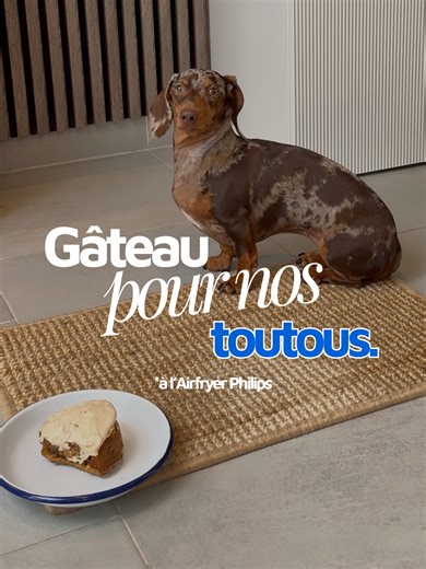 Et pourquoi ne pas célébrer les grandes étapes de vie de nos toutous avec un joli gâteau ? On vous propose une recette simple de gâteau pour chiens à l’Airfryer Philips pour leur faire plaisir. 🫶 Partagez en commentaire une photo de vos toutous en pleine dégustation ! 🐶 Ingrédients : - 2 c. à soupe de peanut butter - 1 banane - 1 cup de farine d’avoine - 1 c.à café d’eau #dachshund #teckel #dogcake #airfryer #philips