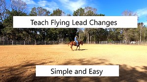 In this video I break down the body movements needed to introduce and train flying lead changes to your western or English horse. | Tim Anderson Horse Training