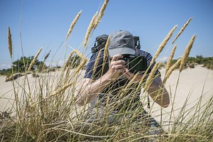 Dorset - Dynamic Dunescapes