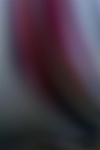 BRC Global American Bully: Meet Judge Kev Green