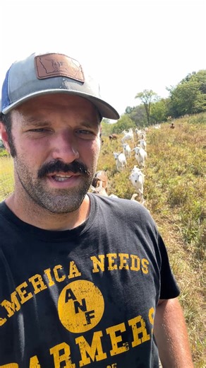 What’s the secret to having 500 goats follow you around? | Iowa Kiko Goats