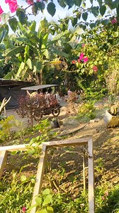 Many Skylab.. #skylab#oldmodel | Bulitong and mayang tv