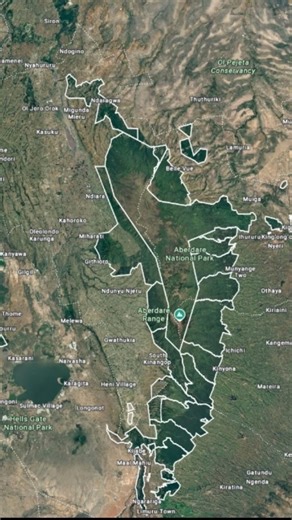 Since its inception in 1989, Rhino Ark has evolved from a bold response to eradicating rhino poaching in the Aberdares into one of Kenya’s most trusted conservation partners safeguarding critical water-tower ecosystems. What began with the construction of a 38 km game-proof fence has grown into a nationally recognised conservation model combining fencing, habitat protection and community engagement. Today, Rhino Ark supports the management of over 805 km of conservation fencing, protecting biodi