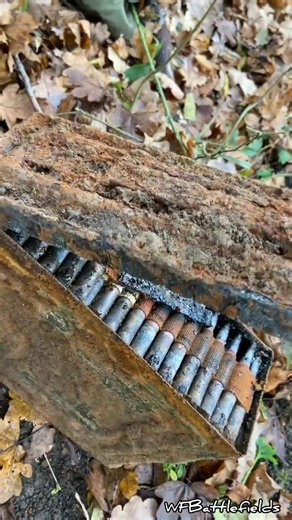 WWII Ammunition Crates Discovery | Metal Detecting Relics Revealed
