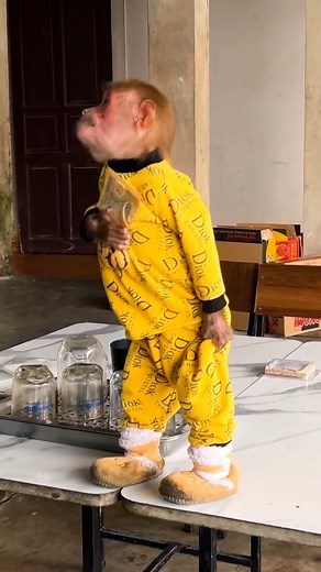 12K views · 448 reactions | Bibi is on a mission to shop! ️ Watch Bibi explore and pick out her favorite items | Bibi's Video | Facebook