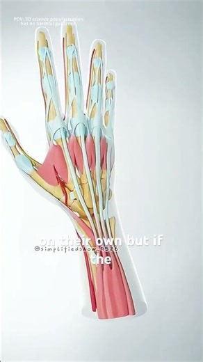 How ganglion cyst is removed?(3D animation) #theflash #3danimation #drone #anatomy #spriggan