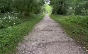 卡通中不同的人跑步的样子没看过的卡通赶紧去看下