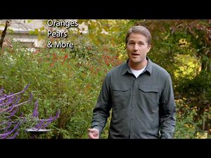 How To Use Ortho Flower, Fruit & Vegetable Spray